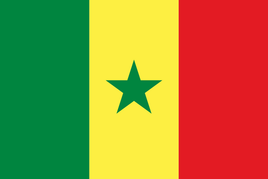 Visit Senegal